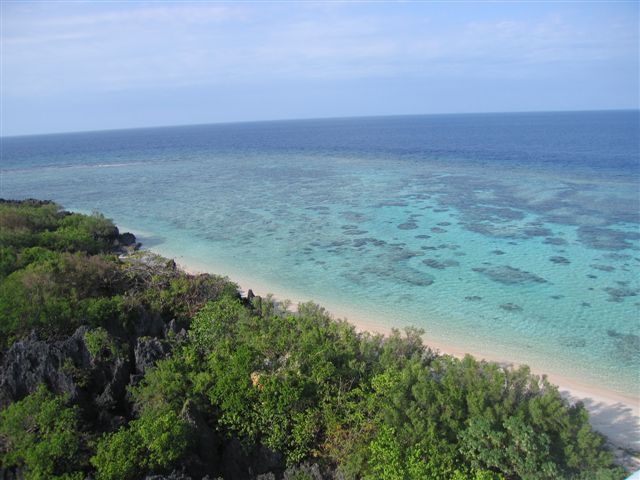 Apo Reef