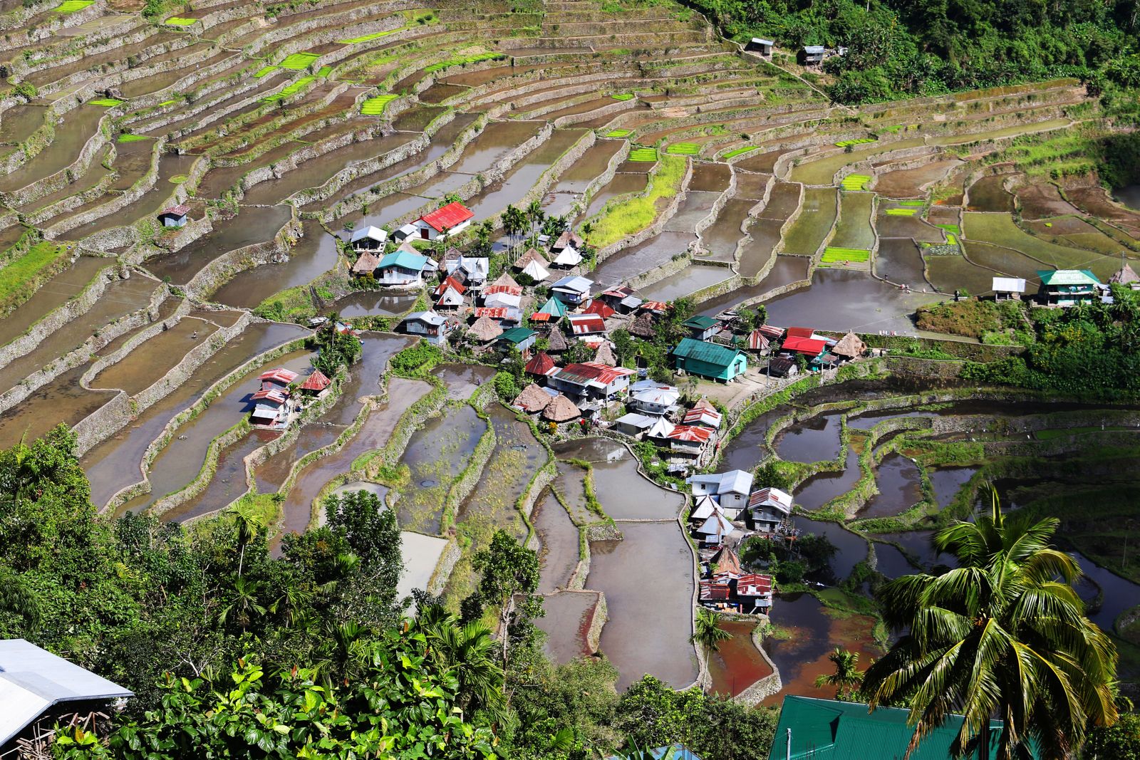 Batad Camping