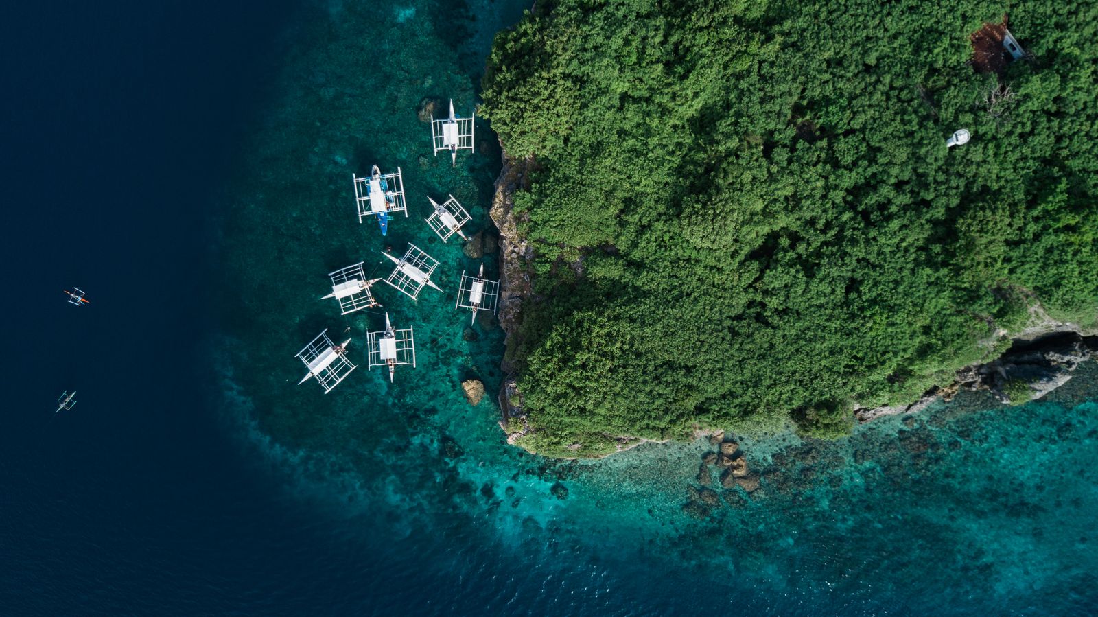 Moalboal Sardine Run