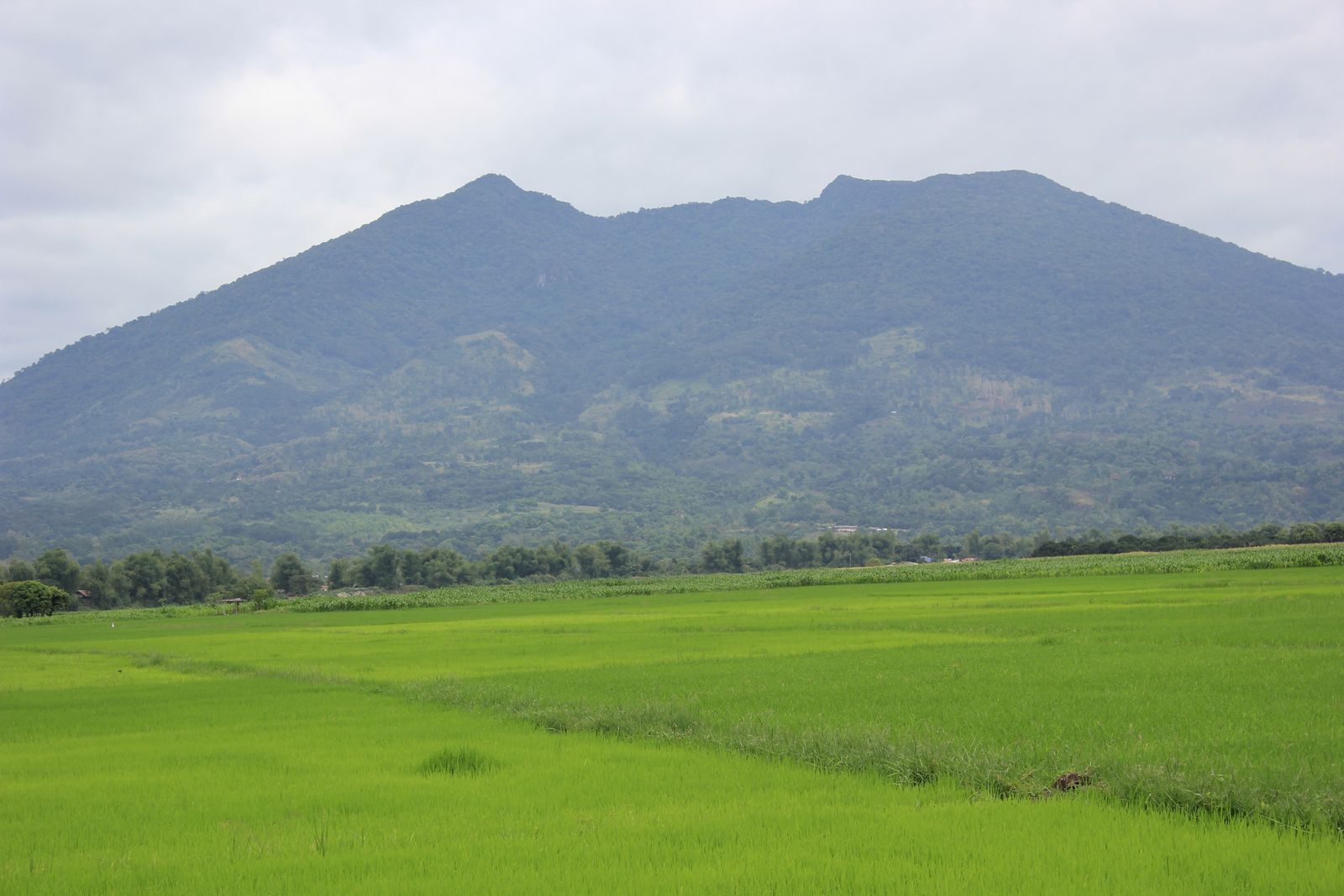 Mount Arayat (1,026m)
