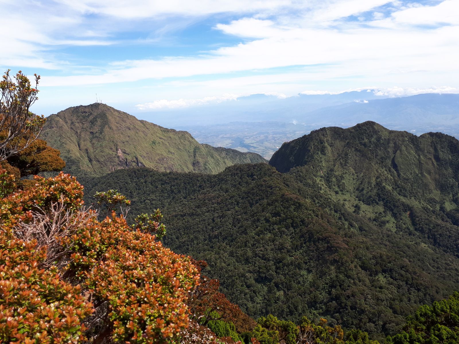 Mount Kitanglad (2,899m)