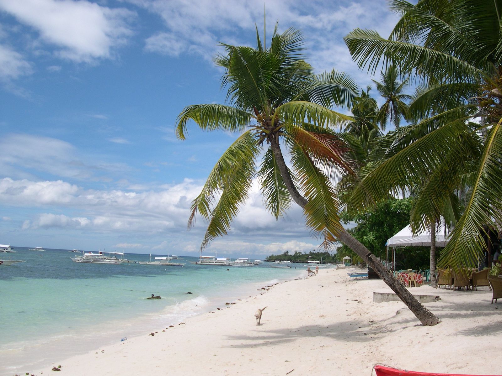 Panglao Beach