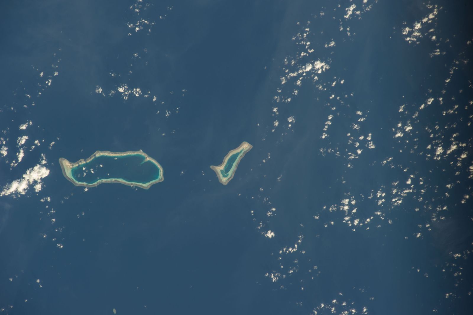 Tubbataha Reefs